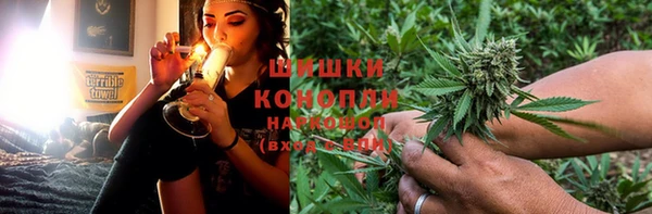 твердый Арсеньев